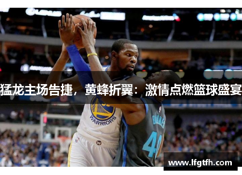 猛龙主场告捷，黄蜂折翼：激情点燃篮球盛宴